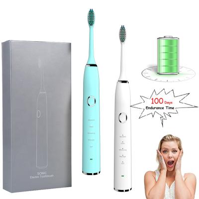 China 100 Days Battery Life IPX8 Waterproof Multifunction Battery Operated Toothbrush for sale