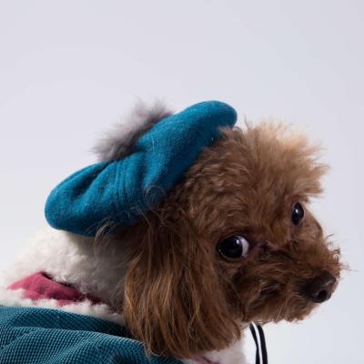 China Lovely Winter Viable Flip Beret Dog Hat Pet Hat Pet Wool Accessories for sale