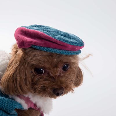 China Lovely Viable Winter Cap Dog Hat Pet Hat Pet Accessories for sale