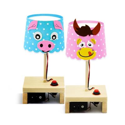 China DIY Educational Science Toys Educational Study Aids DIY Toys Assembled Small Table Lamp Teaching Aids for sale