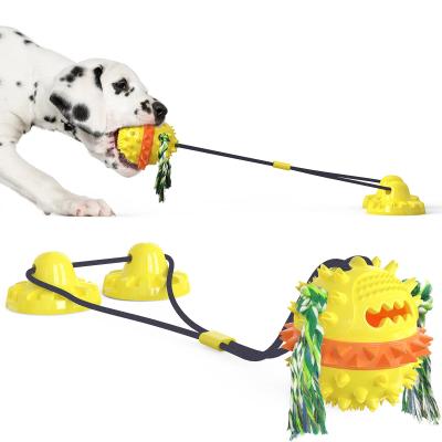 China Molar Teeth Resistant Suction Cup Dog Tug Toy TPR Dog Training Squeaky Dog Chew Toy Ball for sale