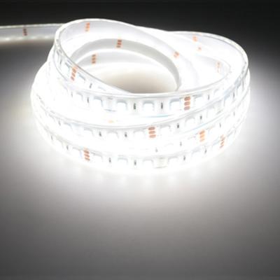 China Wholesale 3000k 5m LANDSCAPE Flexible Roll 12V LED Strip Light SMD 5050 CCT Adjustable 2 in 1 Chip Dual Color Dimmable for sale