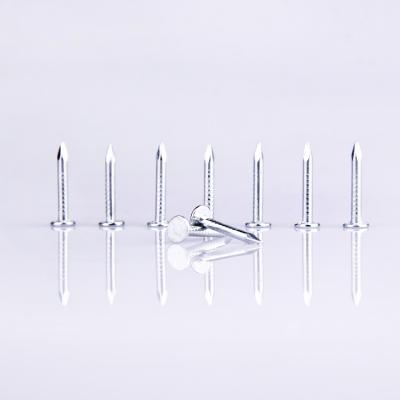 China Flat Surface Grade Stainless Steel Nails For Concrete for sale