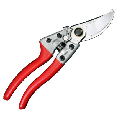 China Anti-skid Handle High Quality Professional DIY Tool Small Garden Cutting Tree Shears for sale