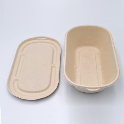 China Biodegradable compostables within 90 days factory direct supply whats disposable boxes near me how to pack bag lunch for field trip for sale