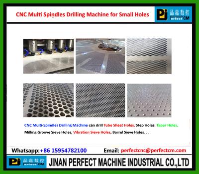 Китай Шпиндели CNC Multi сверля машину для плиты, фланца, листа трубки продается