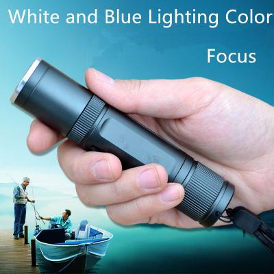 China CREE Q5 18650 Rechargeable White and Blue Lighting Led Flashlight/Torch for Night Fishing for sale