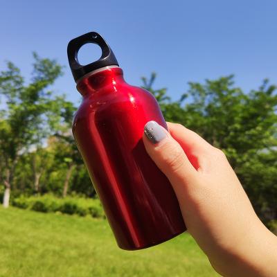 China Viable Sport 500ml Single Wall Water Bottle With Aluminum Carabiner Can Be Customized 3D 5D Logo UV Printing for sale