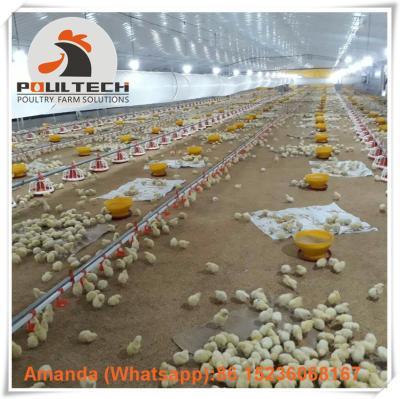 China Ecuador Chicken Shed Broiler Plastic Slatted Floor System & Chicken Deep Litter System with Automatic Feeding Lines for sale