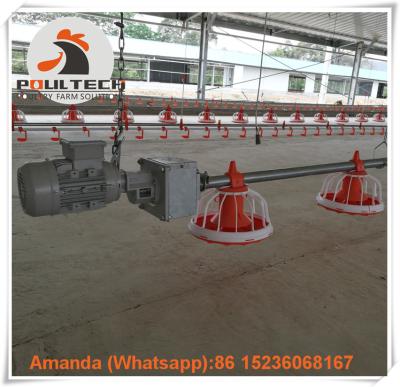 China Albania Poultry Farming Broiler Deep Litter System & Meat Chicken Plastic Slatted Floor System with Battery Drinker Line for sale