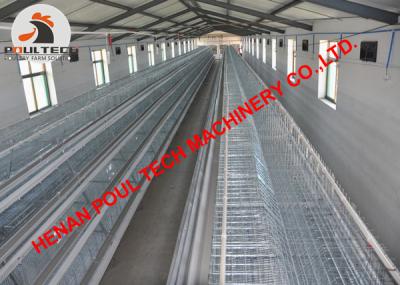 China Hot Galvanized Cage Chicken Poultry Farm A Type Automatic Egg Hen Cage &Layer Cage with Automatic Egg Collection Machine for sale