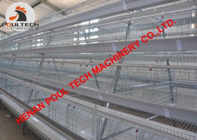 China Philippines Poultry Farm A Type Battery Layer Chicken Cage & Chicken Coop with 90 Birds for Poultry Farmer for sale