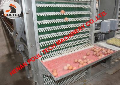 China Philippines Poultry Farm 4 Tiers A Type Battery Layer Chicken Cage & Chicken Hen Cage with 120 Birds for Farmer for sale