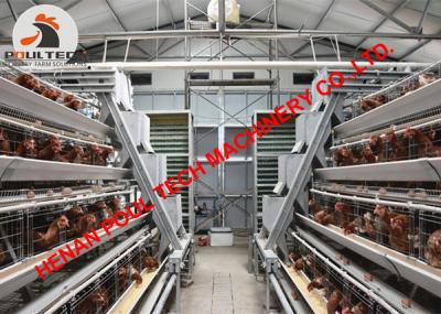 China Philippines Poultry Farm A Type Battery Layer Chicken Cage & Egg Chicken Cage with 120 Birds for Poultry Farmer for sale