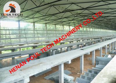 China Poultry Farm Equipment Automatic Egg Hen Chicken Cage Coop & Layer Cage with 90-200 Birds for Chicken Poultry House for sale