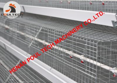 China Poultry Farm A Type Automatic Egg Chicken Cage & Layer Chicken Coop with 90-200 Birds Hot Galvanized Chicken Cage for sale