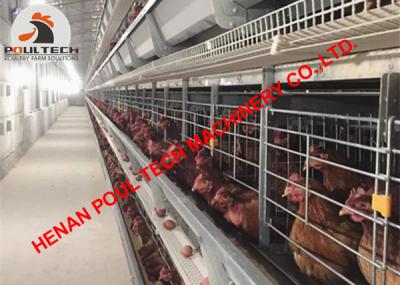 China Latvia Poultry Farm Automatic H Type Layer Chicken Cage & H Frame Layer Cage for High Egg Production for sale