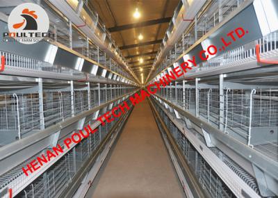 China Kazakhstan Poultry Farming Full Automatic Chicken Cage & Battery Layer Cage with Manure Clean Machine 50,000 Birds for sale