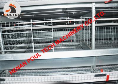 China Azerbaijan Poultry Farming Equipment Full Automatic Chicken Cage & Laying Hen Cage to Improve  Egg Production for sale