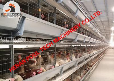 China Kazakhstan Poultry Farm Full Automatic H Type Chicken Cage & H Frame Layer Cage with Egg Collection Machine 50,000 Birds for sale