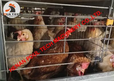 China Kyrgyzstan Poultry Farm Full Automatic H Type Chicken Cage & H Frame Layer Cage with Manure Clean Machine 60,000 Birds for sale