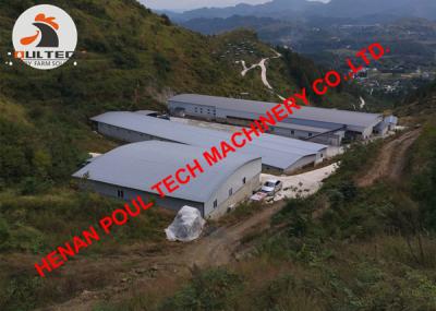 China Azerbaijan Poultry Farm Equipment Full Automatic H Type Egg Chicken Cage & H Frame Layer Cage for Egg Production for sale