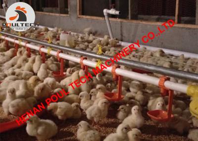 China Ecuador Poultry Farm Broiler Slatted Floor Raising System with Feeding Pan Line & Automatic Drinker Line in Chicken Shed for sale