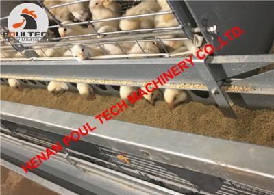 China Poultry Farm - Hot Galvanized Chicken Cage& Battery Baby Layer Chicken Cage & Small Chicks Coop for Shed in South Africa for sale