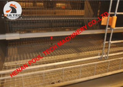 China Poultry Farming- Hot Galvanized Cage H Type Battery Baby Layer Chicken Cage & Small Chicks Coop for Shed in South Africa for sale