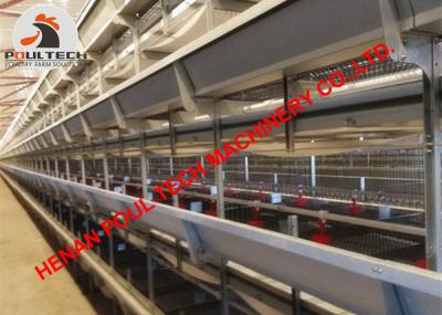 China Kazakhstan Poultry Farm Equipment - Full Automatic Small Layer Cage & Pullet Cage with Automatic Manure Clean Machine for sale