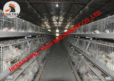 China Poultry Farming Battery Broiler Chicken Cage for Chicken Shed with Automatic Feeding System & Automatic Drinking System for sale