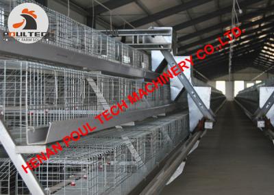 China Poultry Farming Battery Broiler Chicken Cage System with 120 Birds with Automatic Feeding & Drinking System for sale