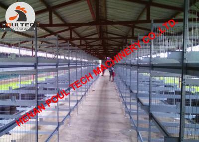 China Poultry Farming Battery H Frame Battery Chicken Cage & Automatic Broiler Cage & Hot Galvanized Chicken Cage for Colombia for sale