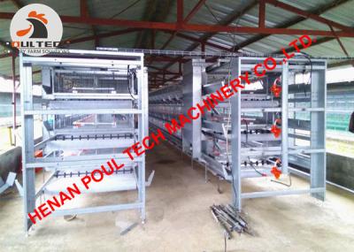 China Ecuador Poultry Broiler Farming Hot Galvanized Chicken Cage & Battery Broiler Chicken Coop with Automatic Manure Clean for sale