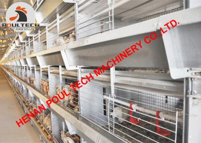 China Broiler Chicken Farming Equipment H Type Battery Chicken Cage & Broiler Cage with 120 Birds with Hot Galvanized Material for sale