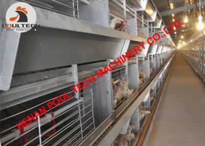 China Poultry Farming H Frame Battery Chicken Cage System & Broiler Cage with 120 Birds with Hot Galvanized Material for sale