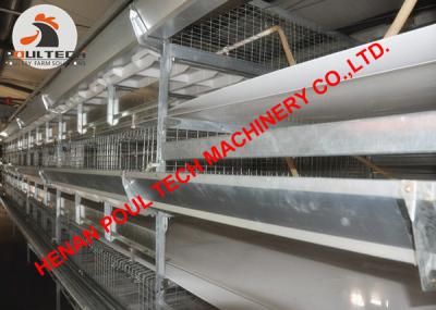 China Poultry Farming Battery Meat Chicken Cage & Automatic Broiler Cage with 120 Birds with Automatic Feeding Machine for sale