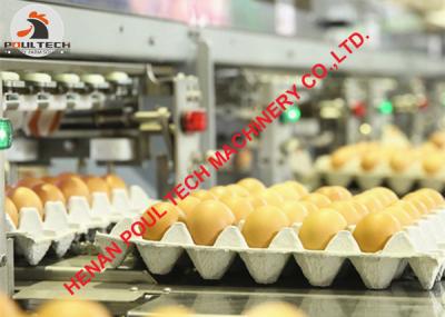 China 5000 pcs/Hour Egg Production - Chicken Egg Grading Machine & Egg Package Machine in Poultry Chicken Farming for sale