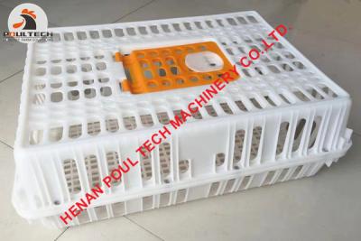 China Ghana Poultry Farming Plastic Poultry Transport Cage/Crate for Hatching Eggs & Plastic Live Chicken Transport Cage for sale