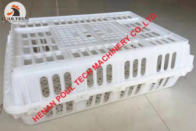 China Mexico Poultry Farming Plastic Poultry Chick Transport Cage/Crate for Hatching Eggs& Plastic Live Chicken Transport Cage for sale