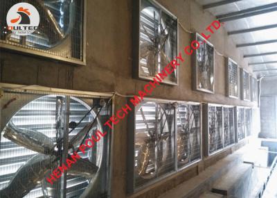 China Portugal Livestock Chicken Farming Hot Galvanized Fan & Ventilation Fan & Electric Fan & Ventilator in Poultry  House for sale