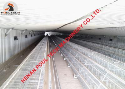 China Poultry Farming A Type Battery Layer Chicken Cage Equipment with Automatic Manure Clean Machine with 120 Birds for sale