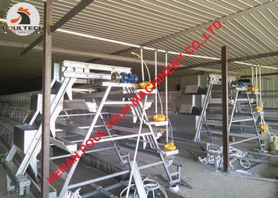 China Poultry Farm A Type Battery Layer Chicken Cage System with Automatic Egg Collection Machine with 90 birds for sale