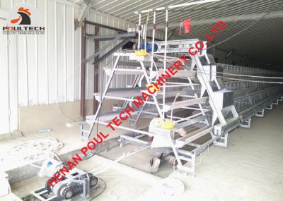 China Poultry Chicken Farm A Type Battery Laying Hen Cage Equipment with 120 Birds & Hot Galvanized Chicken Cage for sale