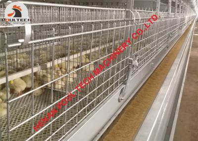 China Philippines Poultry Farm Automatic H Type Small Layer Cage & Chicks Cage with Automatic Feeding Machine for sale