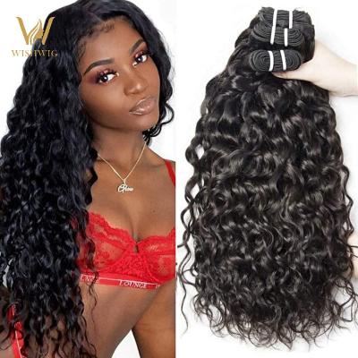 China Cheap Brazilian Water Wave Hair Wishwig Water Wave Hair Extension Cuticle Aligned Virgin Hair For Black Women for sale