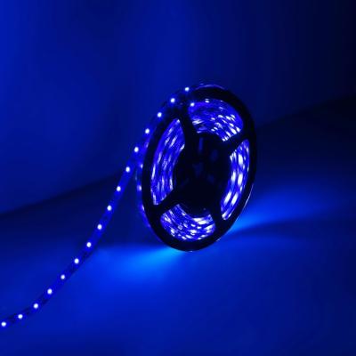 China Blue Flexible LED Strip Lights with 300 Units 3528 LEDs for sale