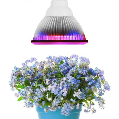 China 12W E27 Par38 LED Plant Grow Light for Hydroponic Garden for sale