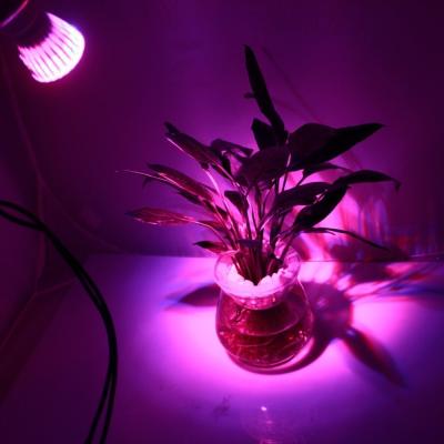 China 10W E27 LED Grow Light for Flowering Plant for sale