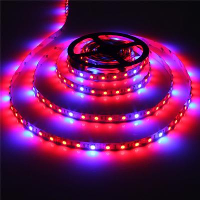 China DC12V 12W/M Cuttable LED Grow strip Blue+Red flexible LED grow light for sale